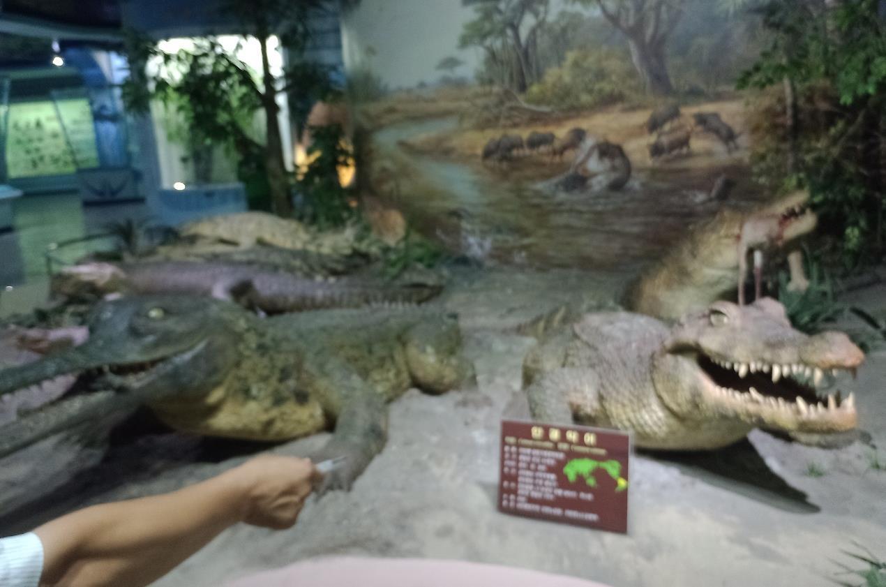 MUSEO6