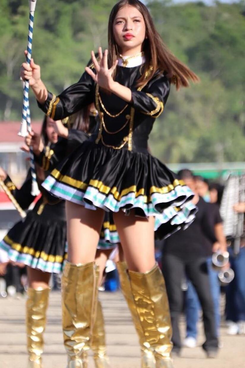 BANDAS6