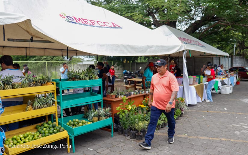 EMPRENDE17