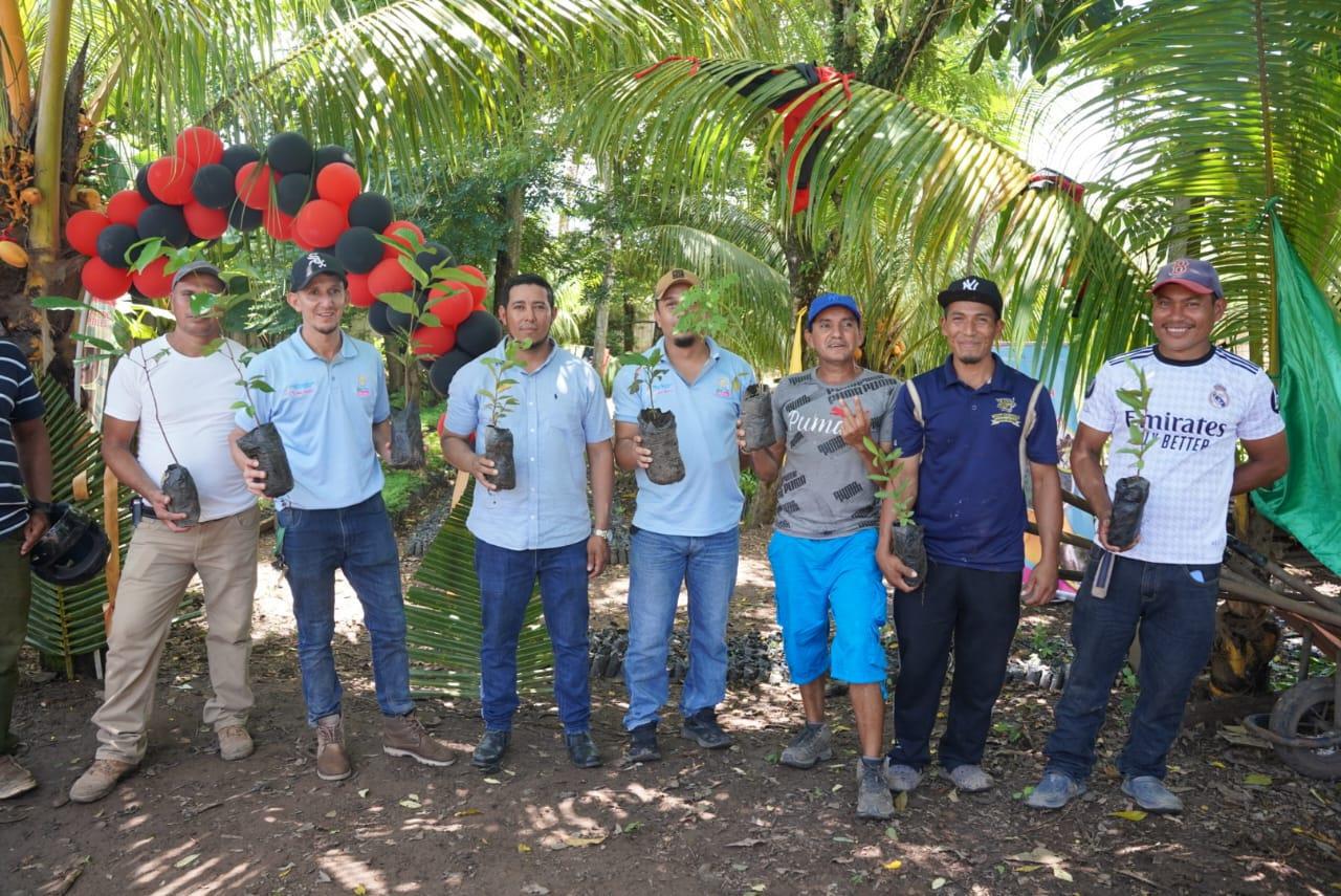 VIVERO3