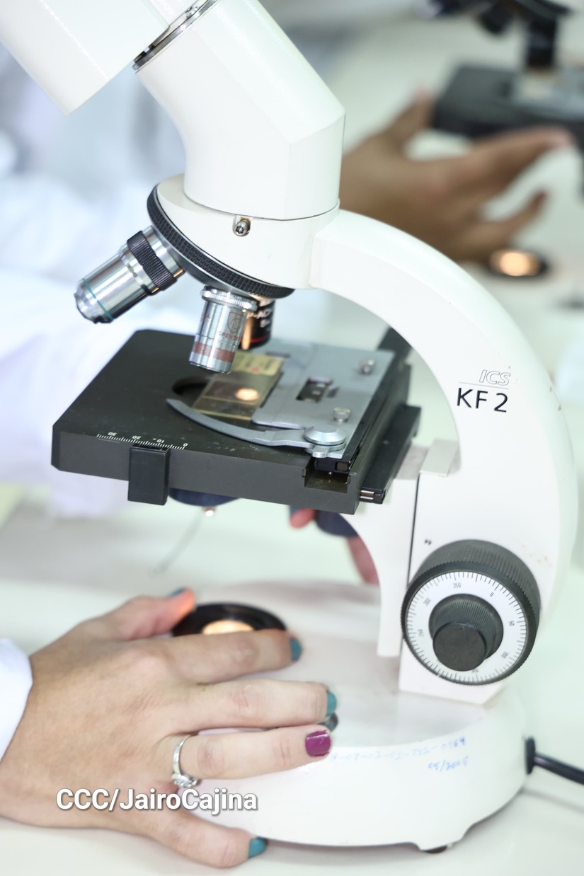 LABORATORIOS4
