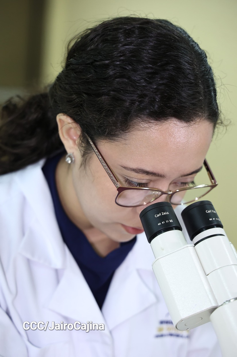 LABORATORIOS7