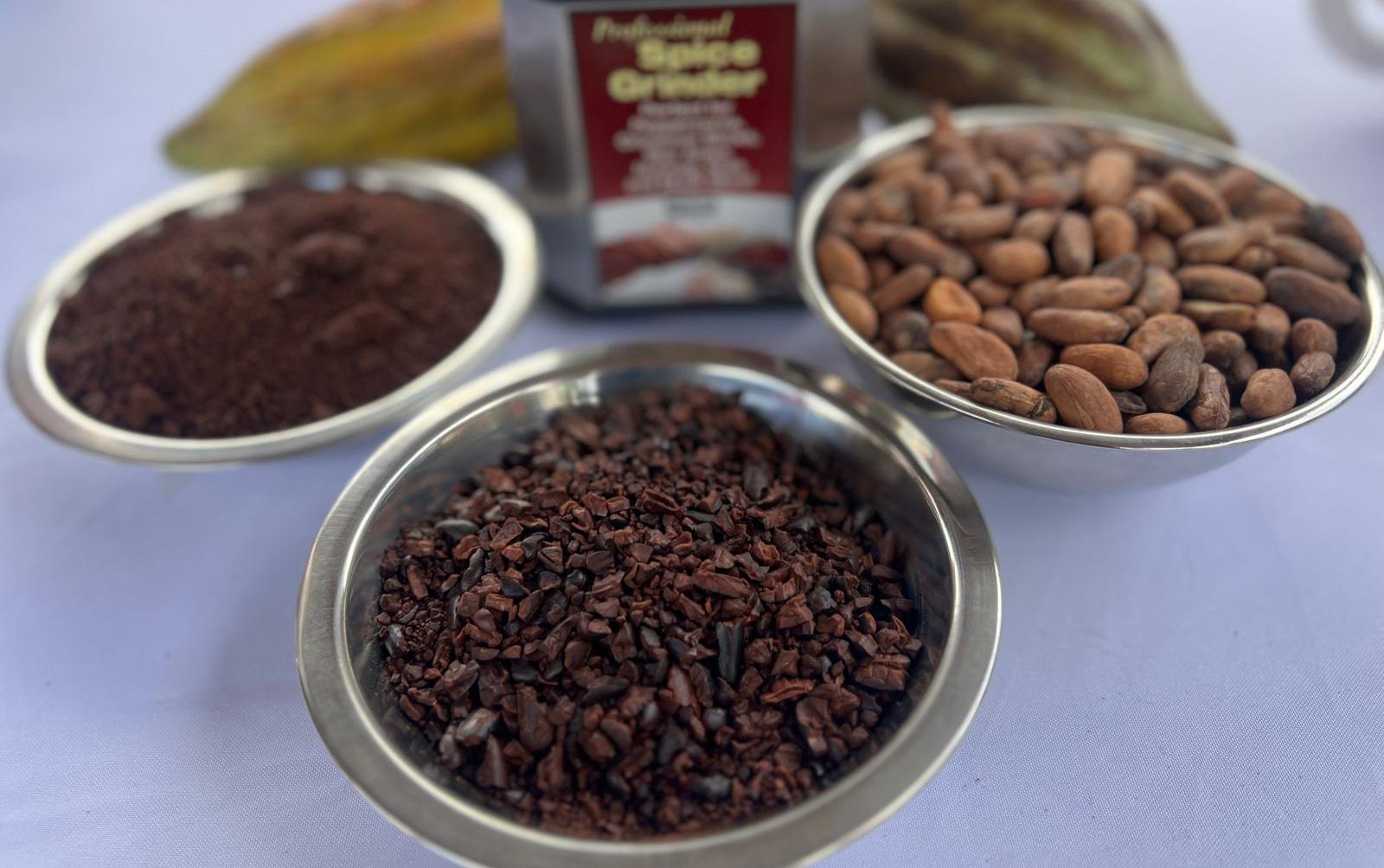 CACAO6