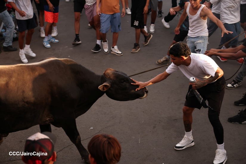 VACAS-CULONAS--(1)