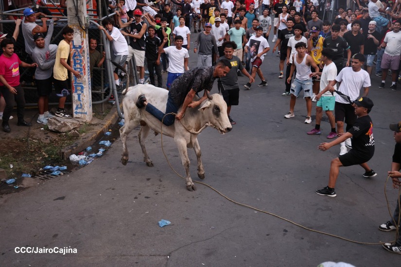 VACAS-CULONAS--(3)