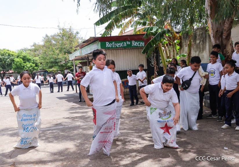 COLEGIO14