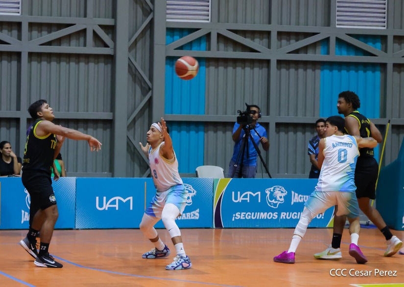 BASKET--(11)