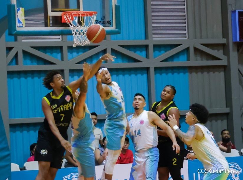 BASKET--(12)