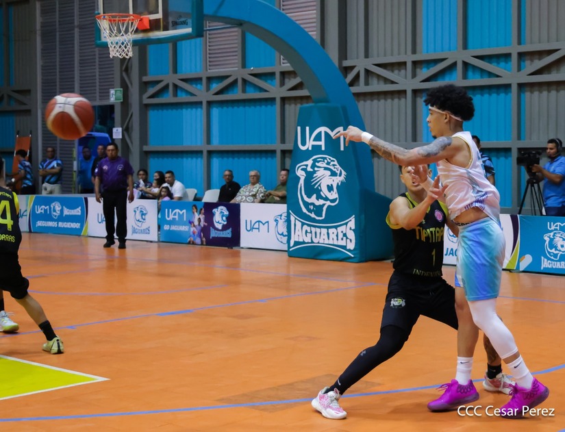 BASKET--(13)