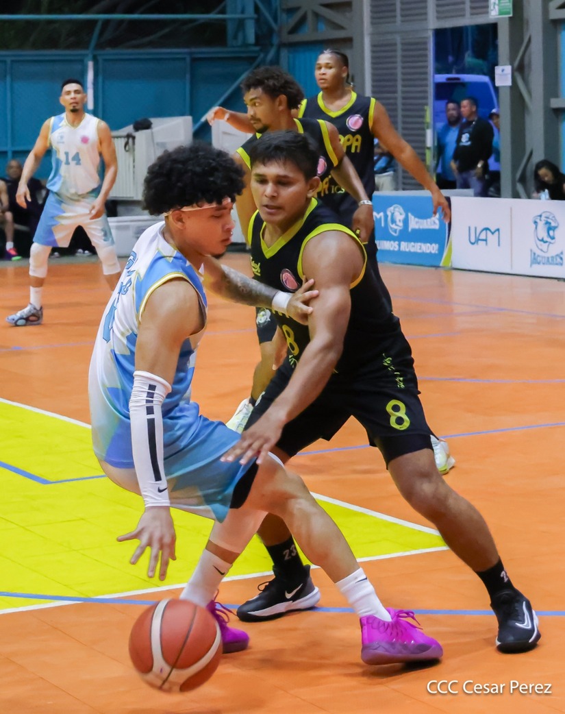 BASKET--(16)