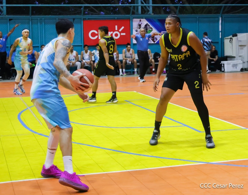 BASKET--(18)