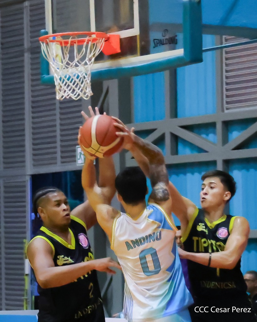 BASKET--(19)
