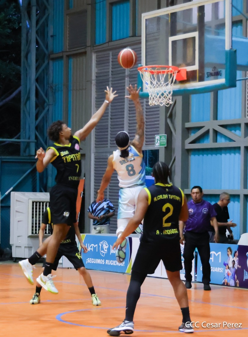 BASKET--(2)