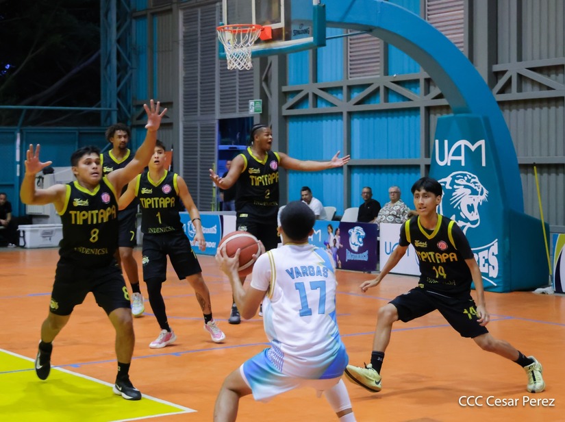 BASKET--(20)