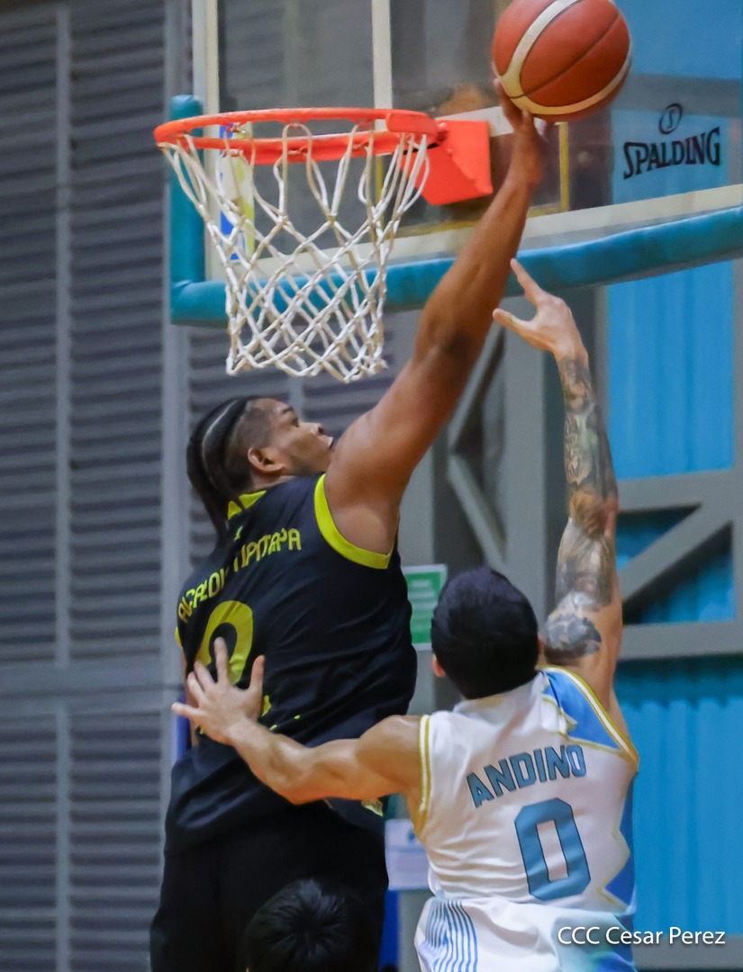 BASKET--(21)