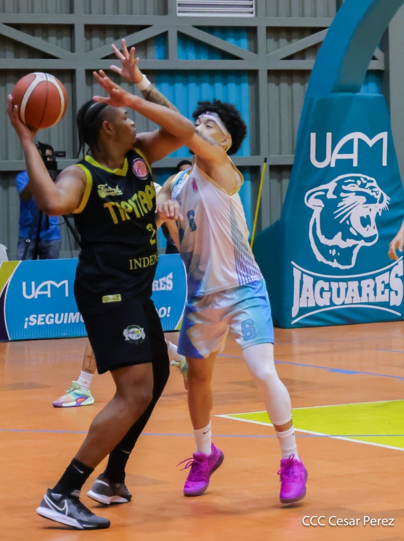 BASKET--(22)