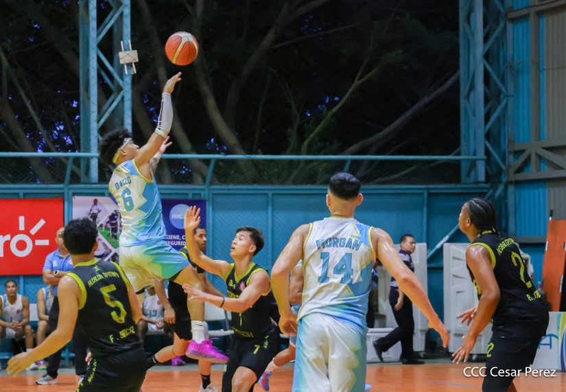 BASKET--(24)
