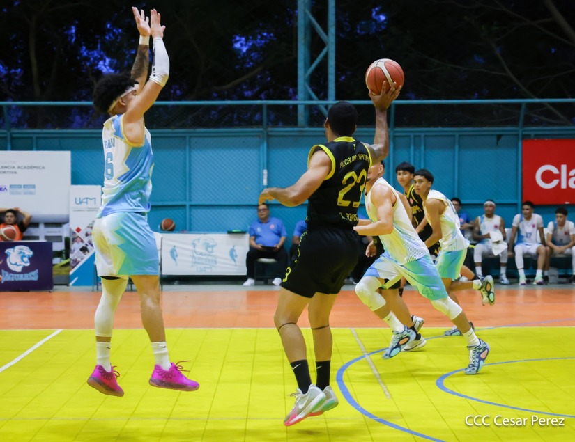 BASKET--(26)