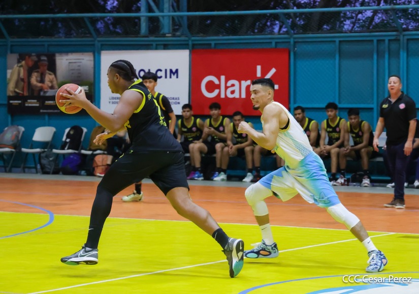 BASKET--(4)