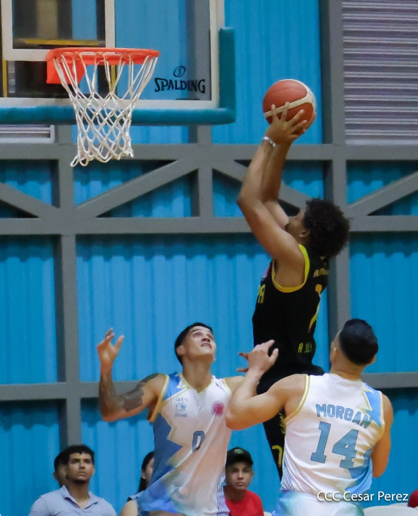 BASKET--(8)