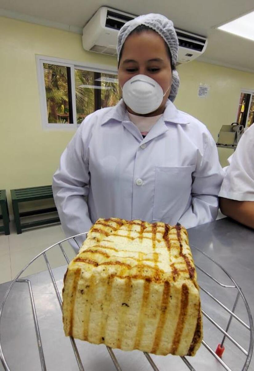 QUESO1