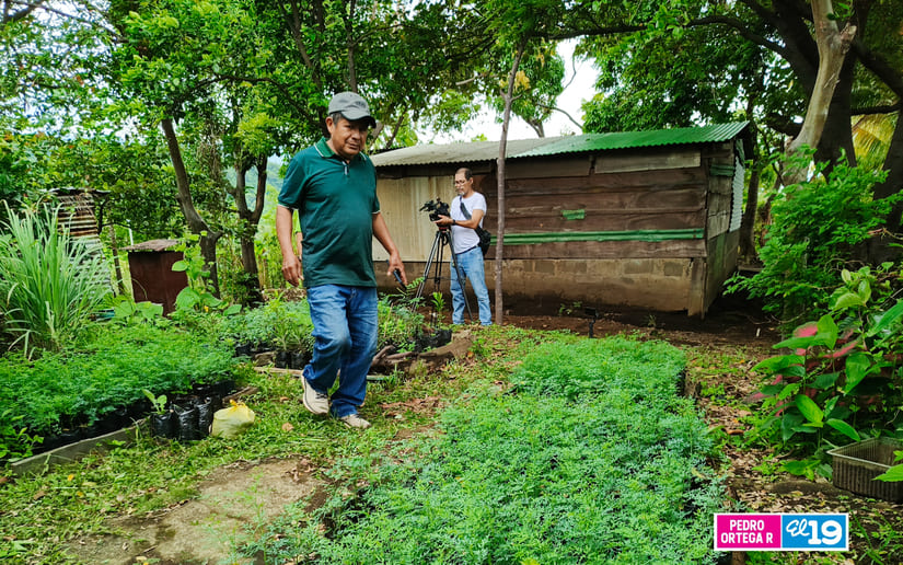 PLANTAS1