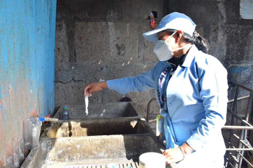 Fumigacion-4