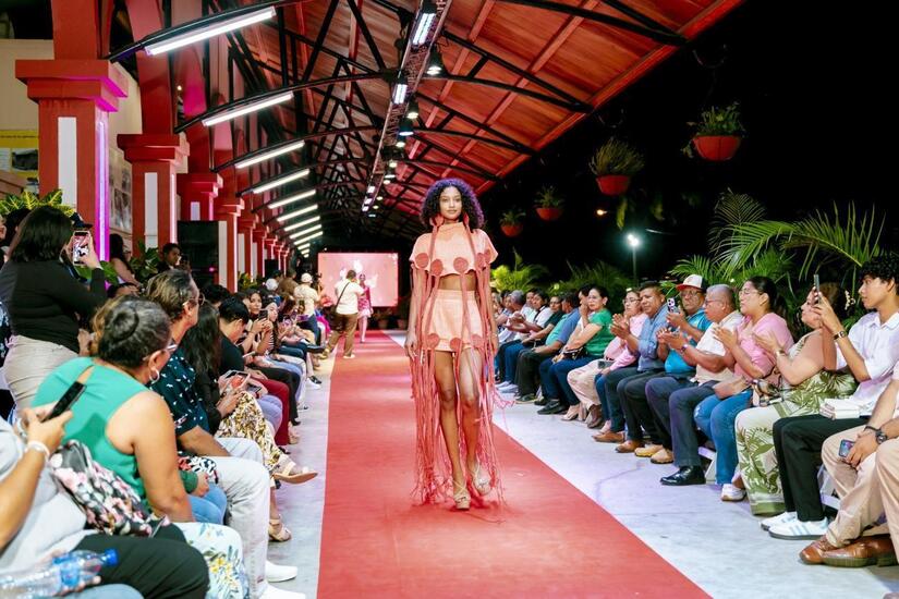 PASARELA2