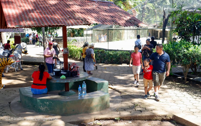 ZOOLOGICO-(1)