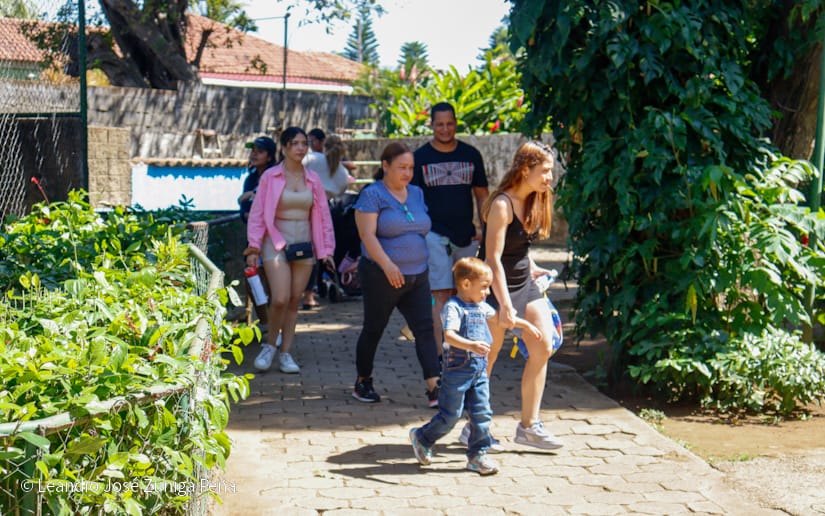 ZOOLOGICO-(19)