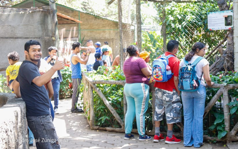 ZOOLOGICO-(21)