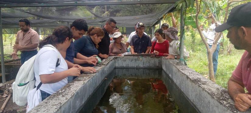 INPESCA-4