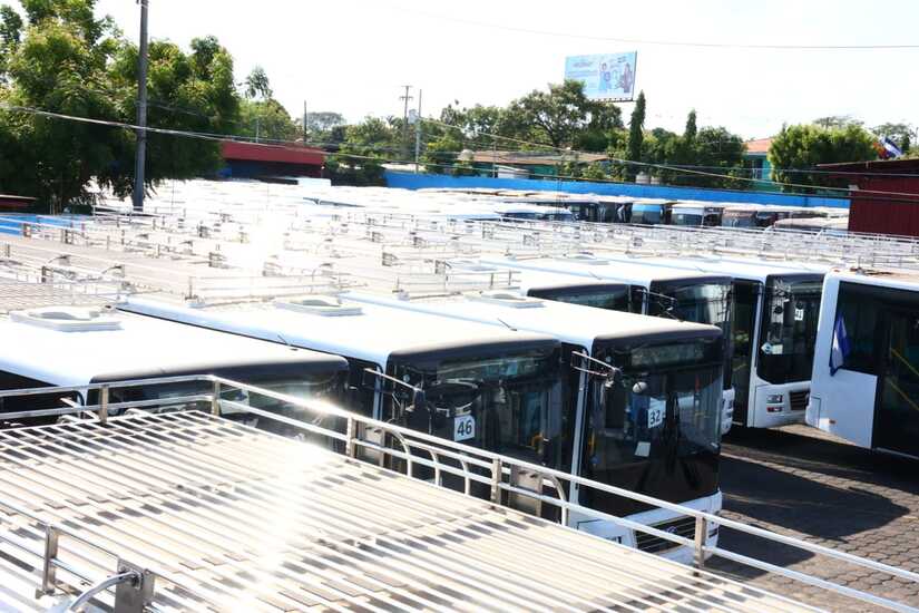 BUSES17