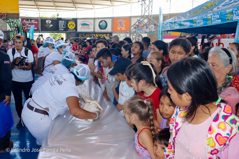 QUESILLO-(15)