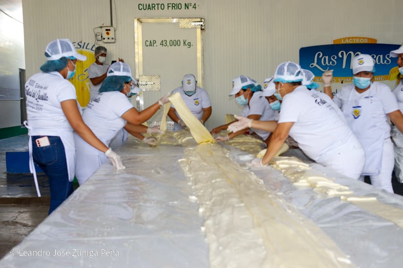 QUESILLO-(36)
