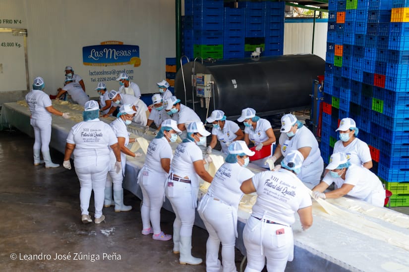 QUESILLO-(39)