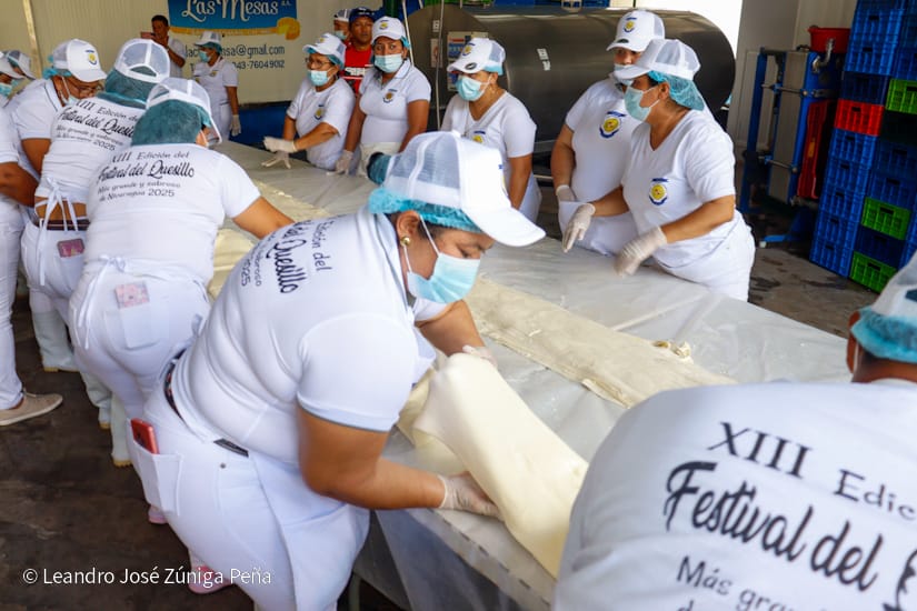 QUESILLO-(45)