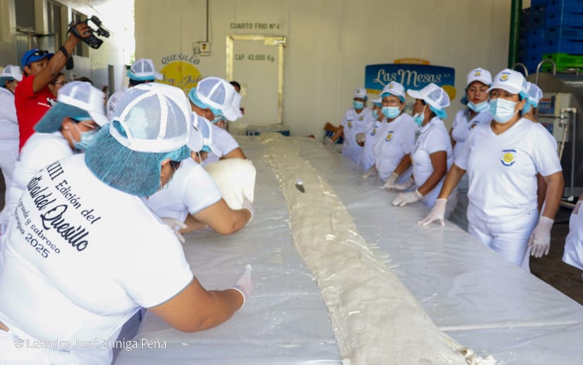 QUESILLO-(47)