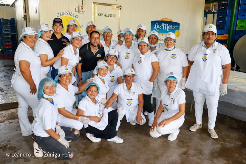 QUESILLO-(49)
