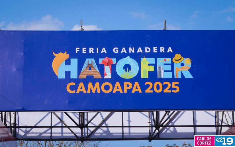 HATOFER-(16)