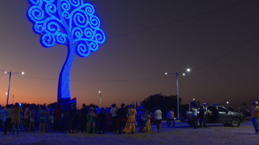 Arbol_11