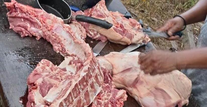 CERDO2