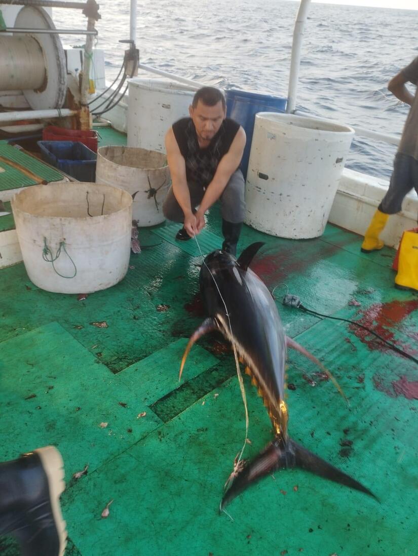 INPESCA9