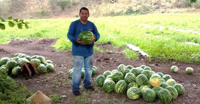 SANDIA-(1)
