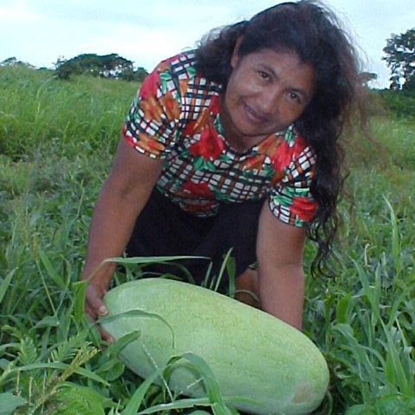 SANDIA-(4)