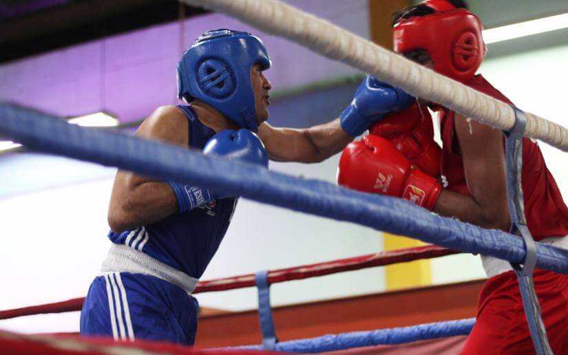 BOXEO-(1)