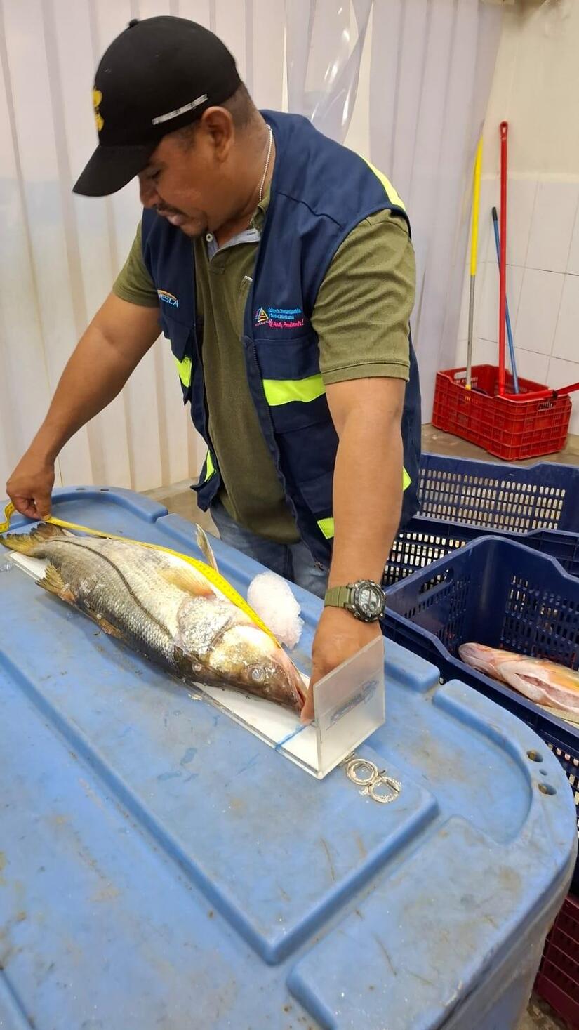 INPESCA-4