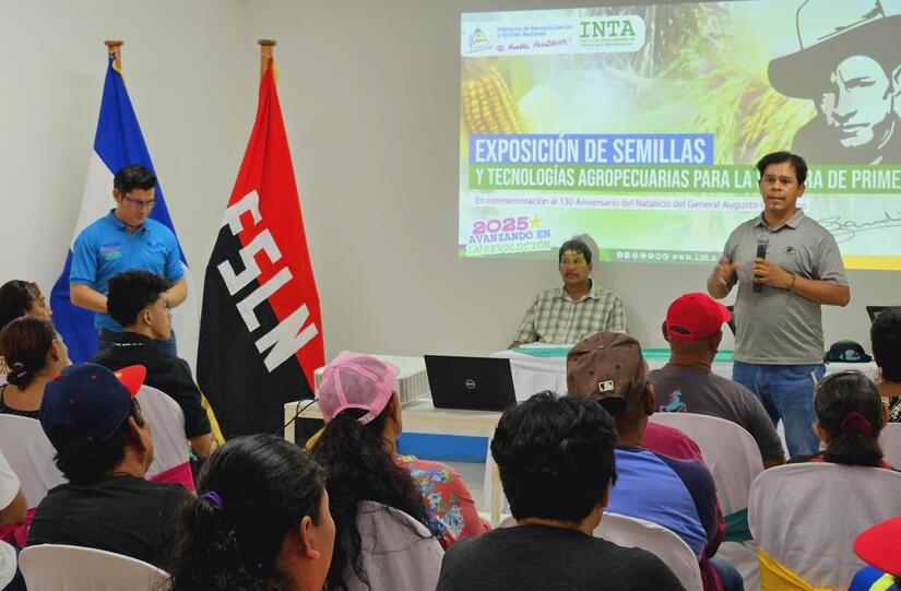 SEMILLAS1