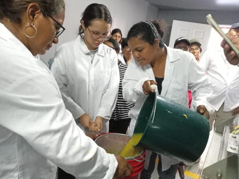 MORINGA-4
