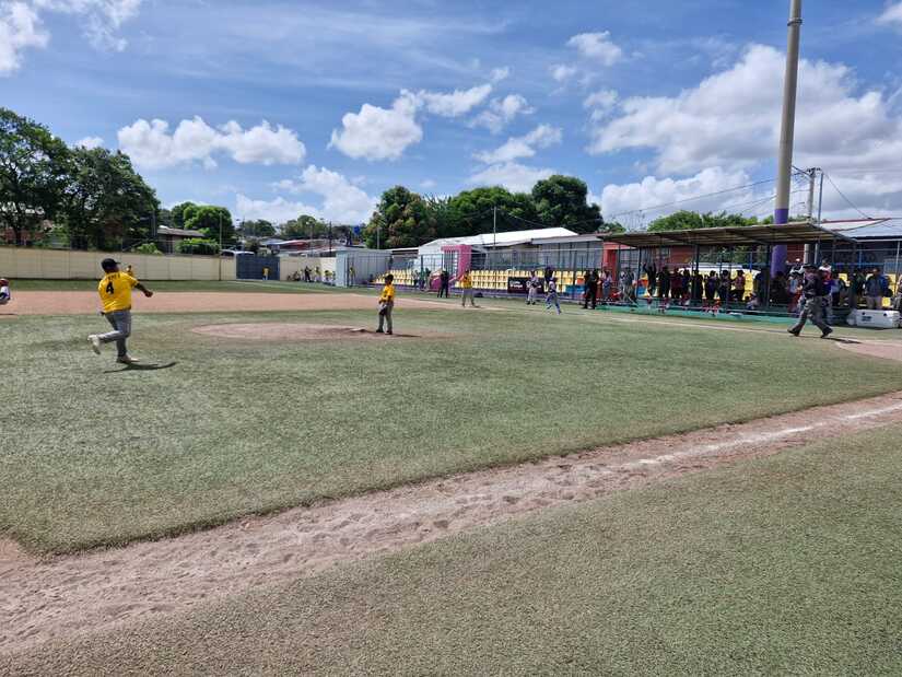 BEISBOL6